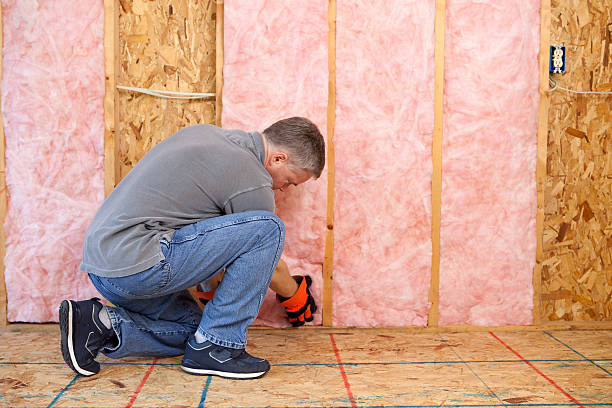 Best Eco-Friendly or Green Insulation Solutions  in Zanesville, OH